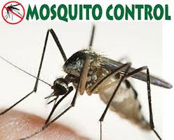 Mosquito Public Control Pic.